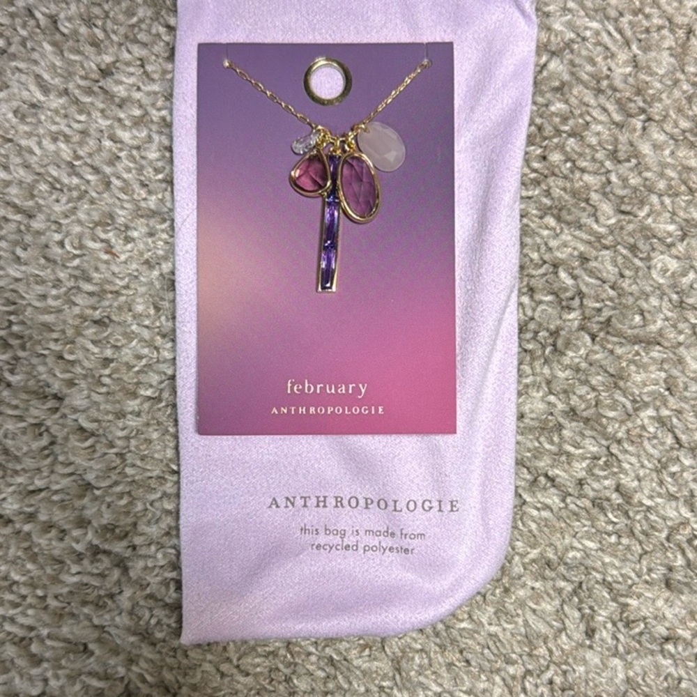 Anthropologie February Birthstone Necklace